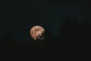 Talk to the Moon Fingerstyle: Menjelajahi Keindahan Petikan Gitar Akustik