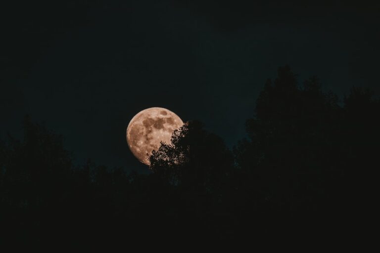 Talk to the Moon Fingerstyle: Menjelajahi Keindahan Petikan Gitar Akustik