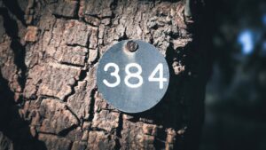 Dv188 Slot Dana: Mengoptimalkan Pengalaman Bermain dengan Pembayaran Digital